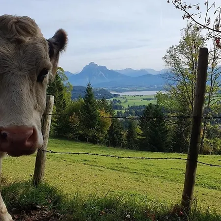 Alpenblick 6, Erholung Pur Im Allgaeu Апартаменты