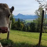 Apartment Alpenblick 6, Erholung Pur im Allgäu Apartment