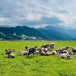 Apartment Alpenblick 6, Erholung Pur im Allgäu * Halblech
