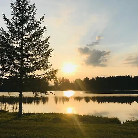 Alpenblick 6, Im Allgaeu, Bergblick Pur - Neueroeffnung! Halblech