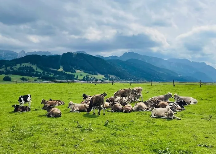 Alpenblick 6, Im Allgaeu, Bergblick Pur - Neueroeffnung! * Halblech