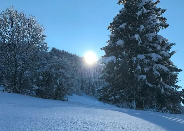 Alpenblick 6, Im Allgäu, Bergblick Pur - Neueröffnung! Apartment *